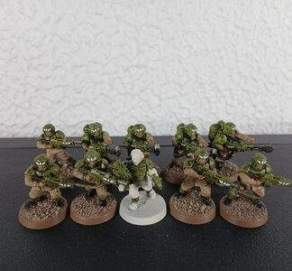 Cadian Shock Troops Painted Squad of 10x, 1x Sergeant Astra Militarum 40K GW