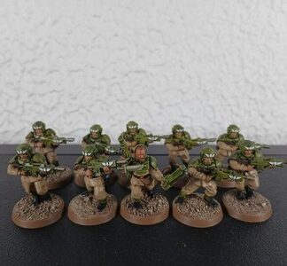 Cadian Shock Troops Painted Squad of 10x, 1x Sergeant Astra Militarum 40K GW