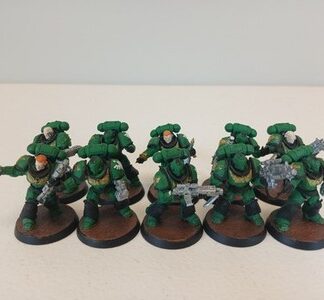 Intercessors Painted Squad of 10x Dark Angels Space Marines Warhammer 40K GW