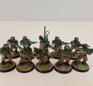 Cadian Shock Troops Painted Squad of 10x, 1x Sergeant Astra Militarum 40K GW
