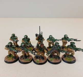 Cadian Shock Troops Painted Squad of 10x, 1x Sergeant Astra Militarum 40K GW
