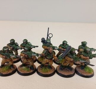 Cadian Shock Troops Painted Squad of 10x, 1x Sergeant Astra Militarum 40K GW