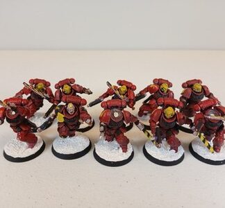 Assault Intercessors Painted Squad of 10x Blood Angels Space Marine Warhammer