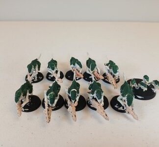 Termagants Primed Squad of 10x + Ripper Swarm Tyranids Xenos Warhammer 40K
