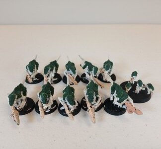 Termaguants Primed Squad of 10x + Ripper Swarm Tyranids Xenos Warhammer 40K