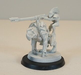 Krootox Rider Primed Kroot Tau Empire Warhammer 40K Games Workshop