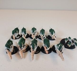 Termaguants Primed Squad of 10x + Ripper Swarm Tyranids Xenos Warhammer 40K