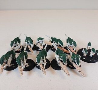 Termaguants Primed Squad of 10x + Ripper Swarm Tyranids Xenos Warhammer 40K