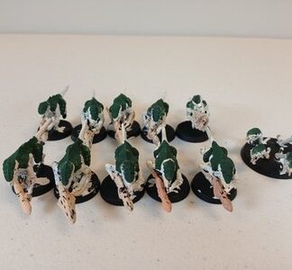 Termaguants Primed Squad of 10x + Ripper Swarm Tyranids Xenos Warhammer 40K