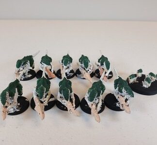 Termaguants Primed Squad of 10x + Ripper Swarm Tyranids Xenos Warhammer 40K
