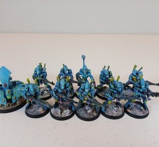 Guardians Painted Squad of 10x With Support Gun Aeldari Eldar Warhammer 40K GW
