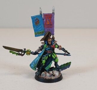 Prince Yriel Painted Metal Eldar Aeldari Warhammer 40K Games Workshop