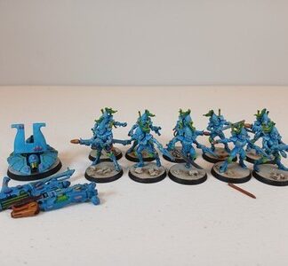 StormGuardians Painted Squad of 10x w/ Support Gun Aeldari Eldar Warhammer 40K