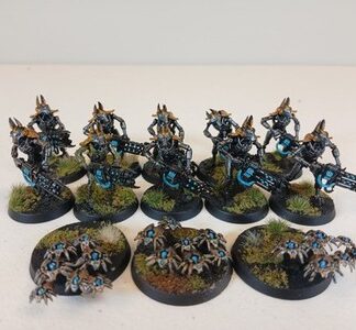 Necron Warriors Painted Magnet Squad of 10x + 3x Scarab Swarm Warhammer 40K GW