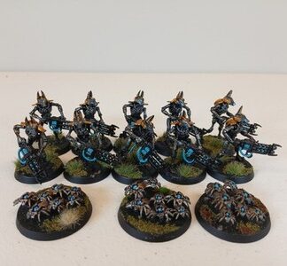 Necron Warriors Painted Magnet Squad of 10x + 3x Scarab Swarm Warhammer 40K GW