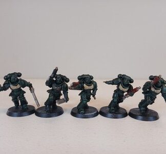 Assault Intercessors Painted Squad of 5x Dark Angels Space Marine Warhammer 40K