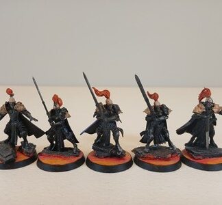 Sisters of Silence Painted Squad of 5x Adeptus Custodes Warhammer 40K GW