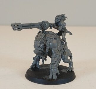 Krootox Rider Kroot Tau Empire Warhammer 40K Games Workshop