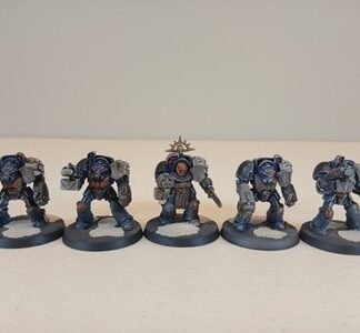 Terminator Painted Squad of 5x Ultramarines Space Marines Warhammer 40K GW