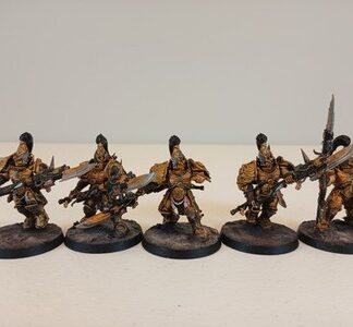 Custodian Guard Painted Magnet Squad of 5x Adeptus Custodes Warhammer 40K