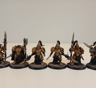 Custodian Wardens Painted Magnet Squad of 6x Adeptus Custodes Warhammer 40K