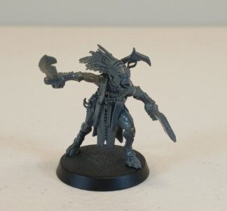 Kroot Flesh Shaper Tau Empire Warhammer 40K Games Workshop